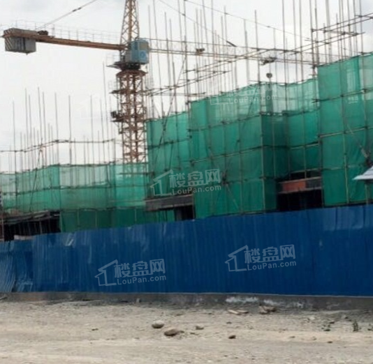 宝青·丽景天成实景图