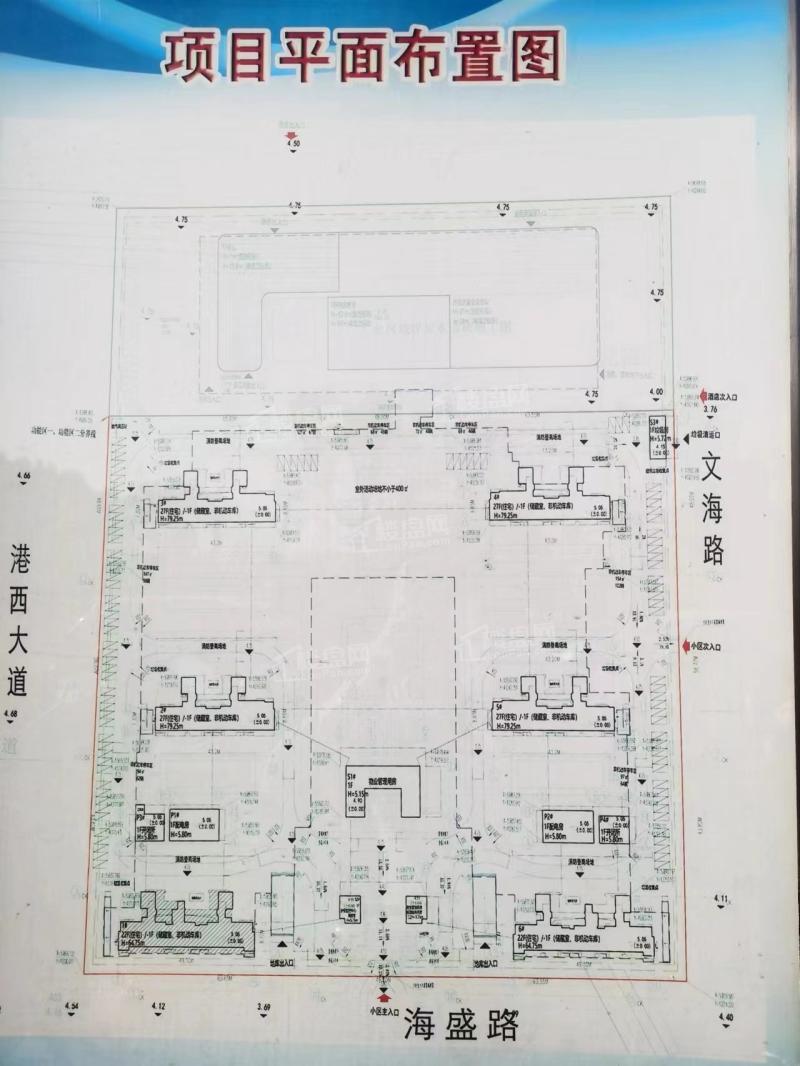 实景图