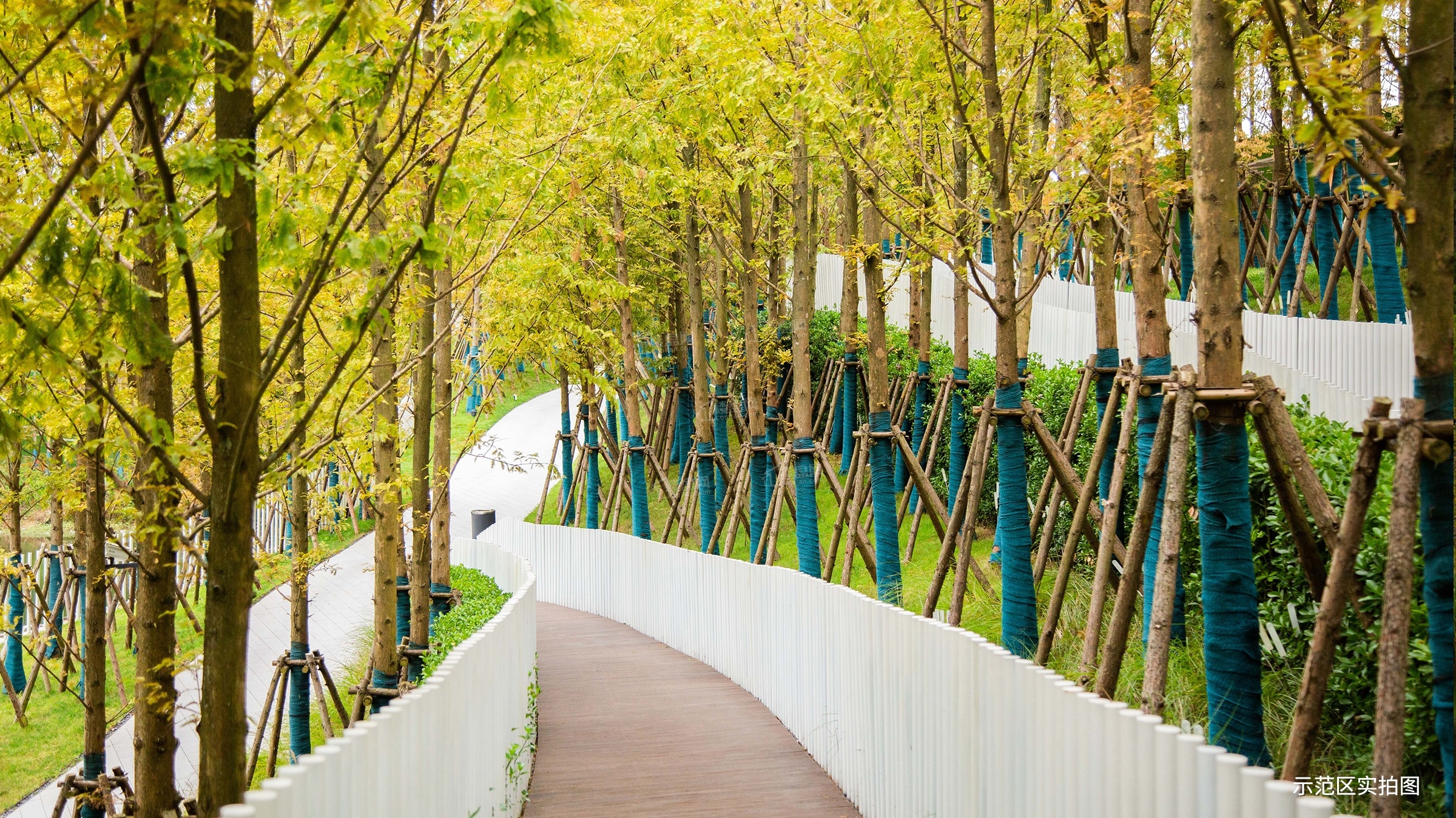 示范区实景