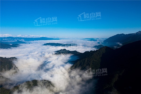 桌山森林康养国际旅游度假区实景图