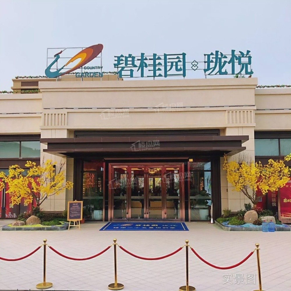 2026年买房|安阳最新房价是多少？哪些新房值得购买？