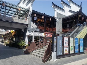 维科·新芝望府配套图