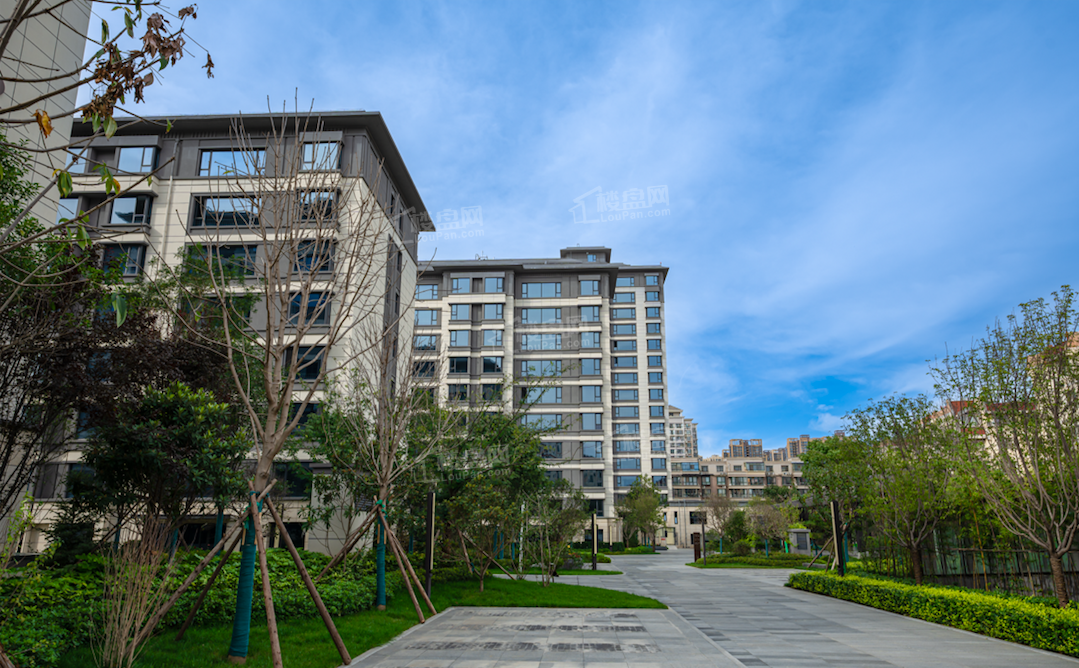 翠景台二期实景图