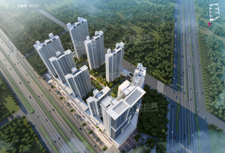 新房速递海城区热门房源南珠金园大厦、橦汀苑对比哪个好?