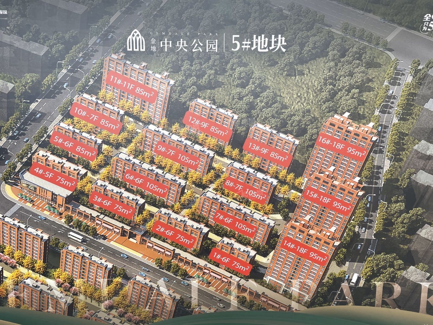 效果图