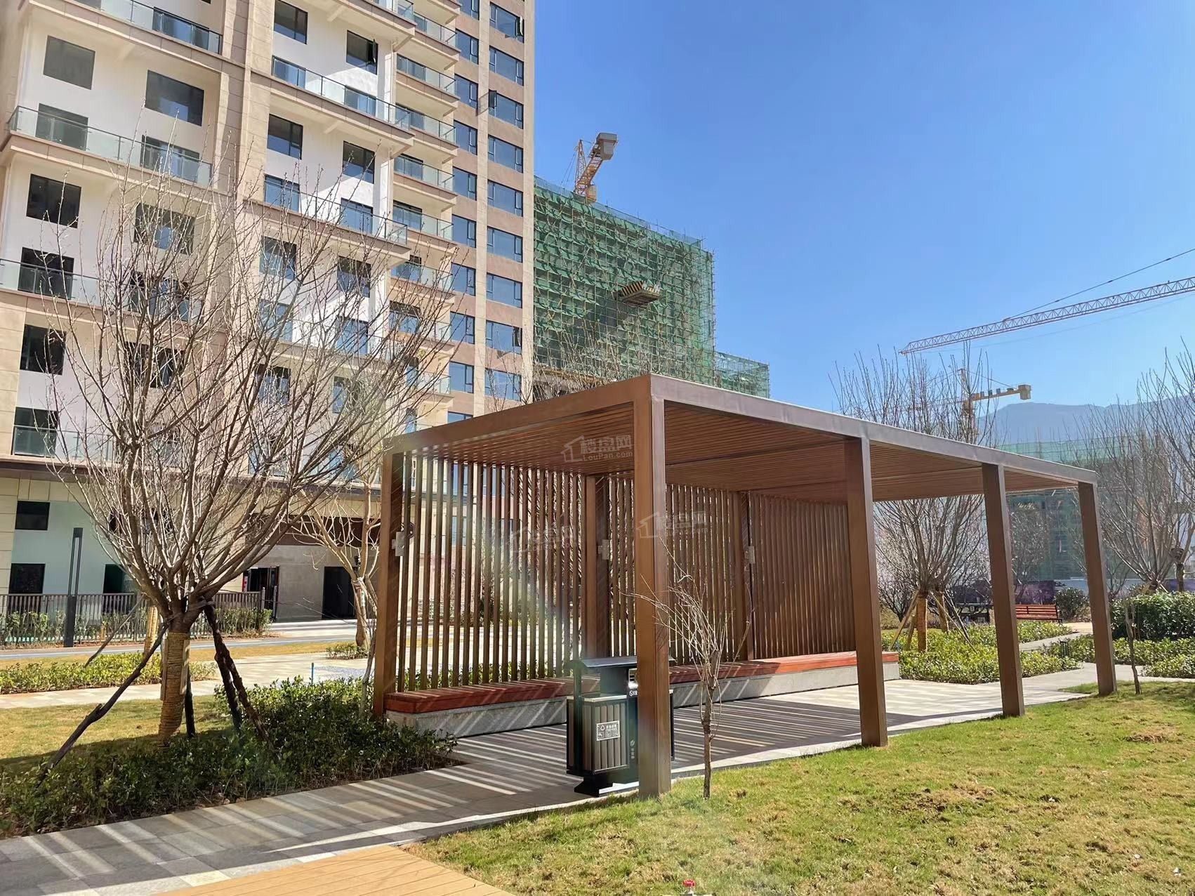 实景图