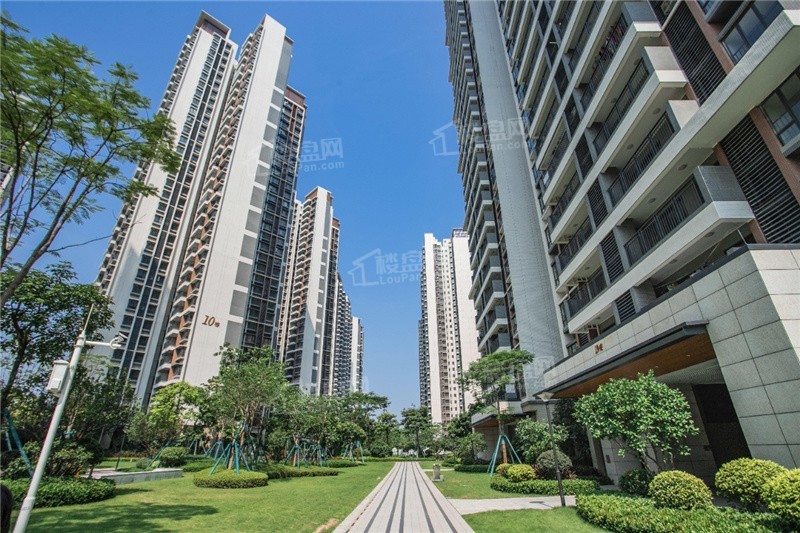 肇庆房地产9月第三周,楼市新政起效,全市成交量上涨近4成-肇庆楼盘网