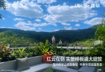 碧桂园龙川府实景图