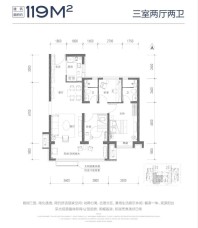 户型图-119㎡