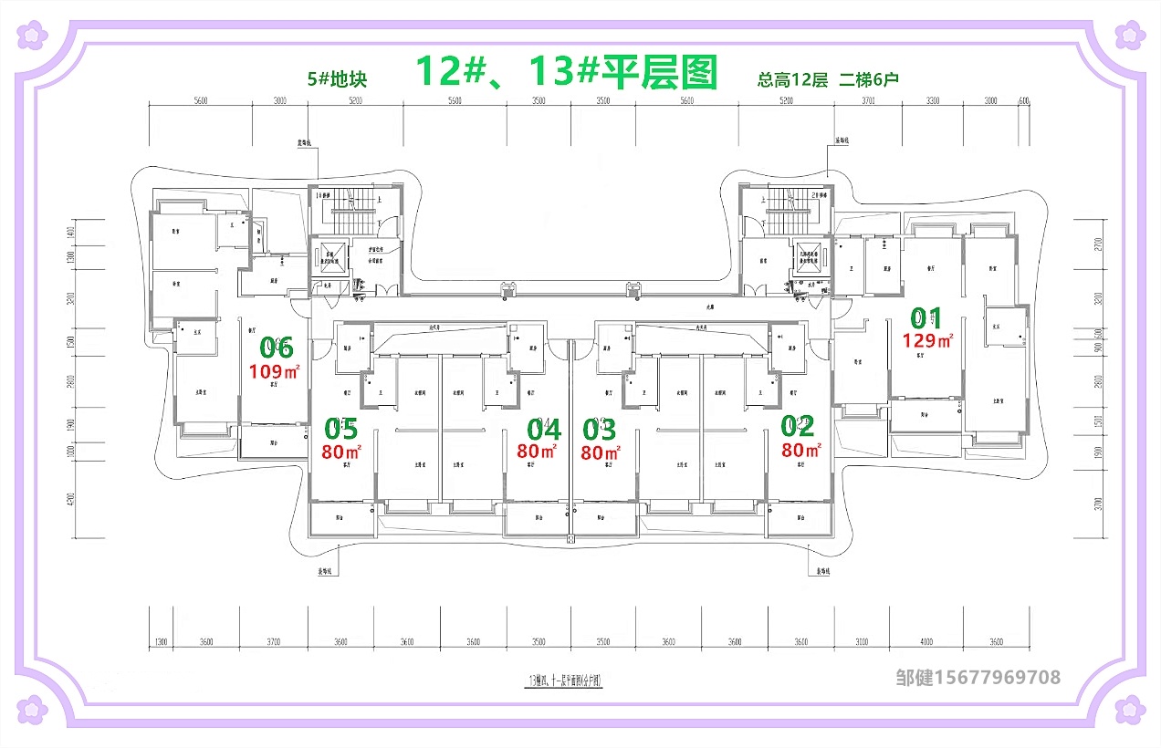 5号地2、13栋平层图