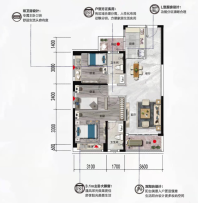 碧桂园龙熹山户型图101㎡322