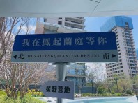 绿城凤起兰庭实景图