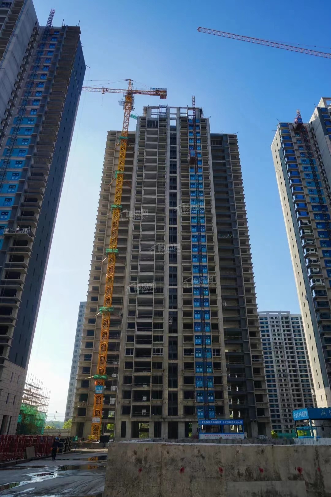 实景图