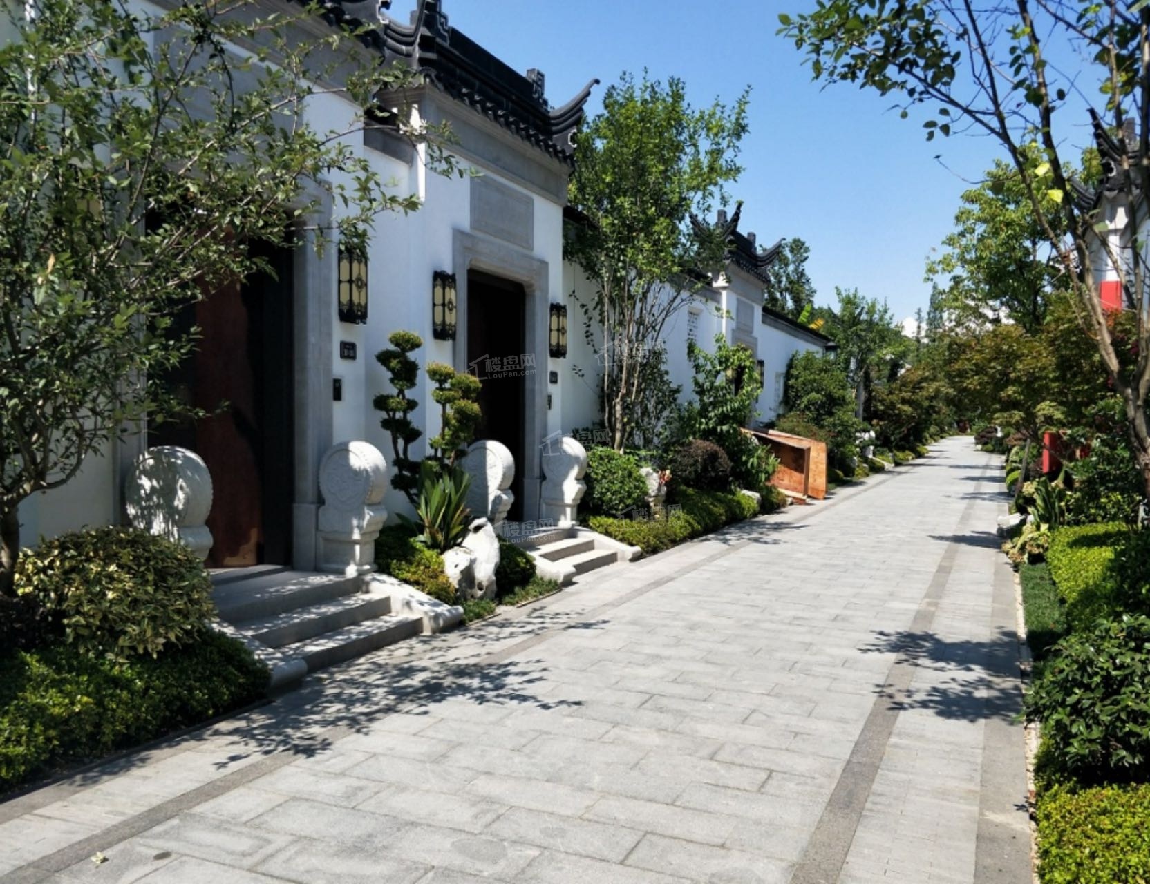 实景图