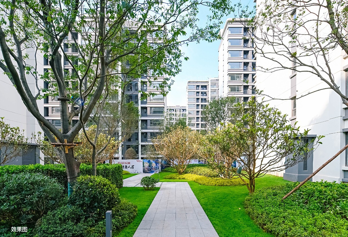 义承金川府实景图