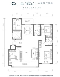 C3户型132平