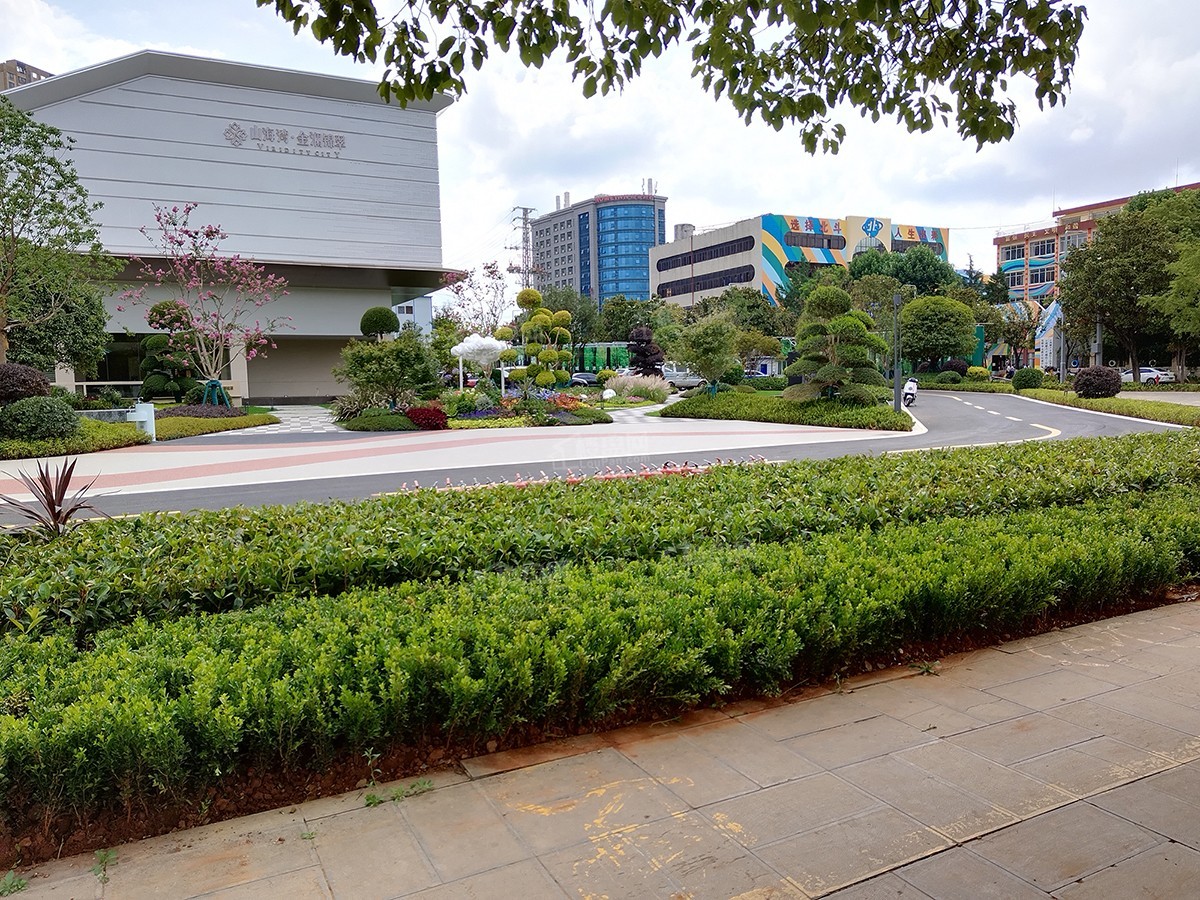 山海湾金澜锦翠实景图