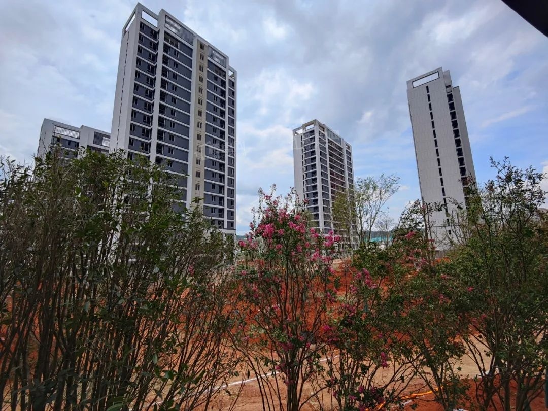 雅居新景实景图