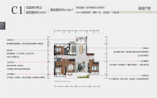 大业府C1户型图