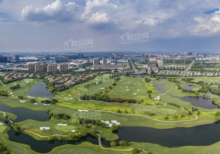 大华梧桐樾实景图