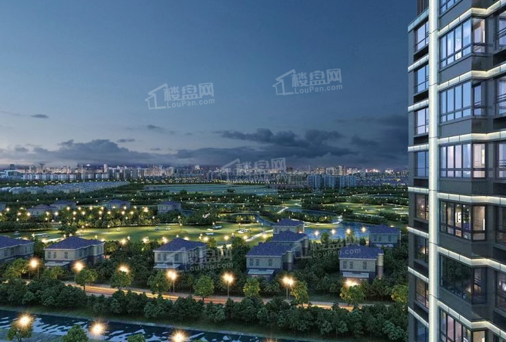 大华梧桐樾实景图