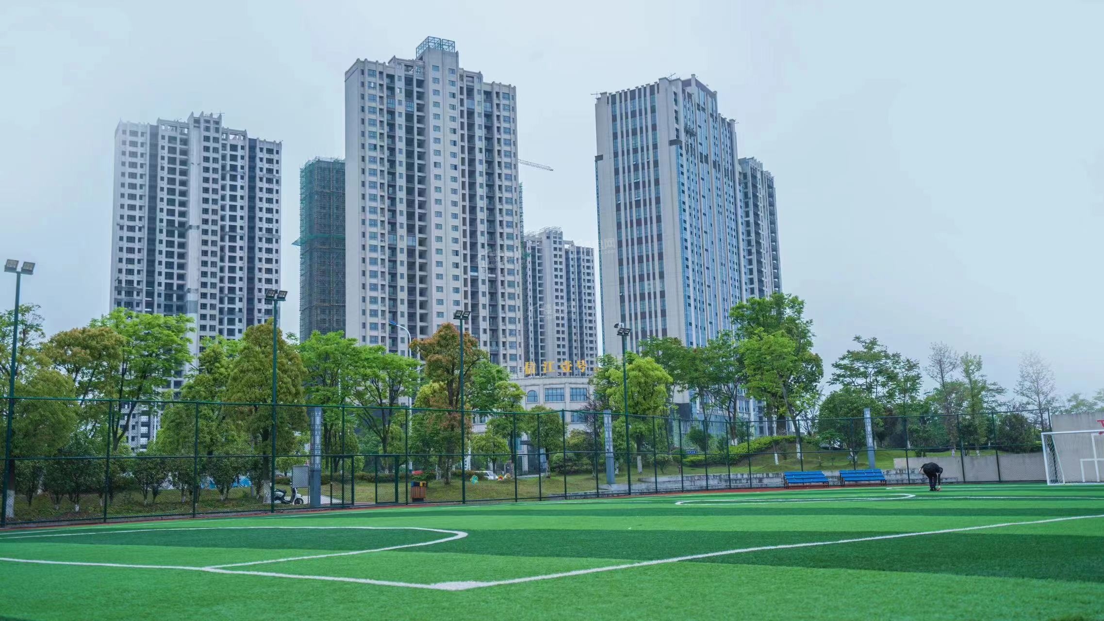 实景图
