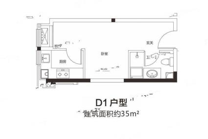 D1户型