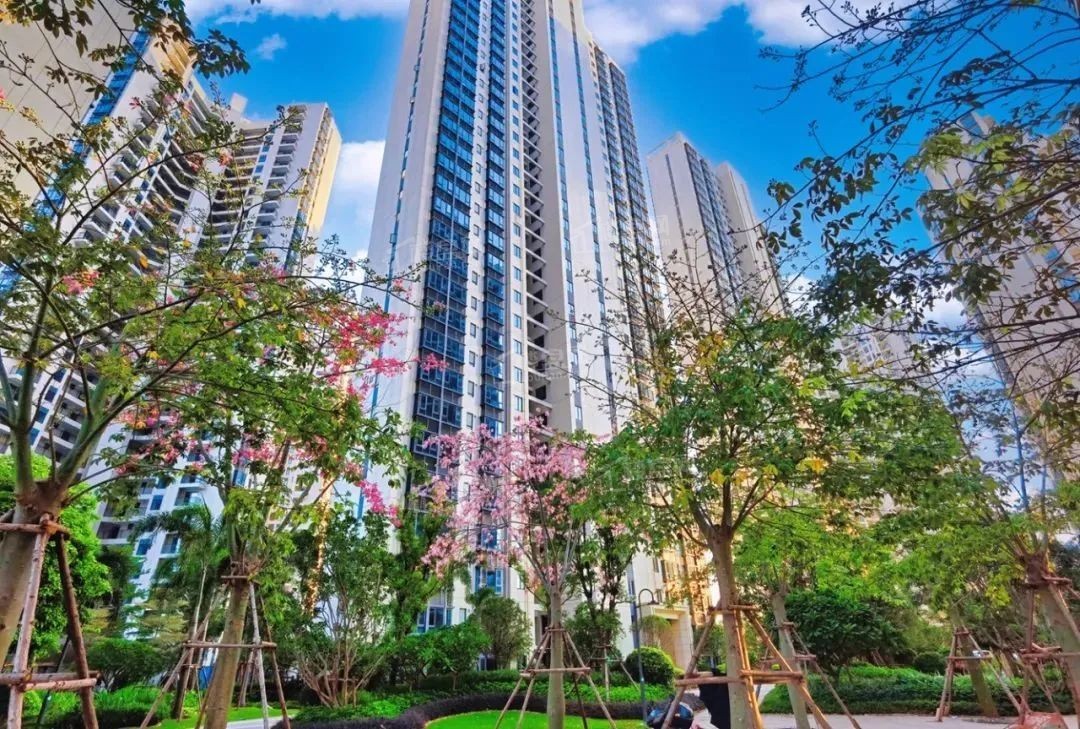 碧桂园北海阳光实景图