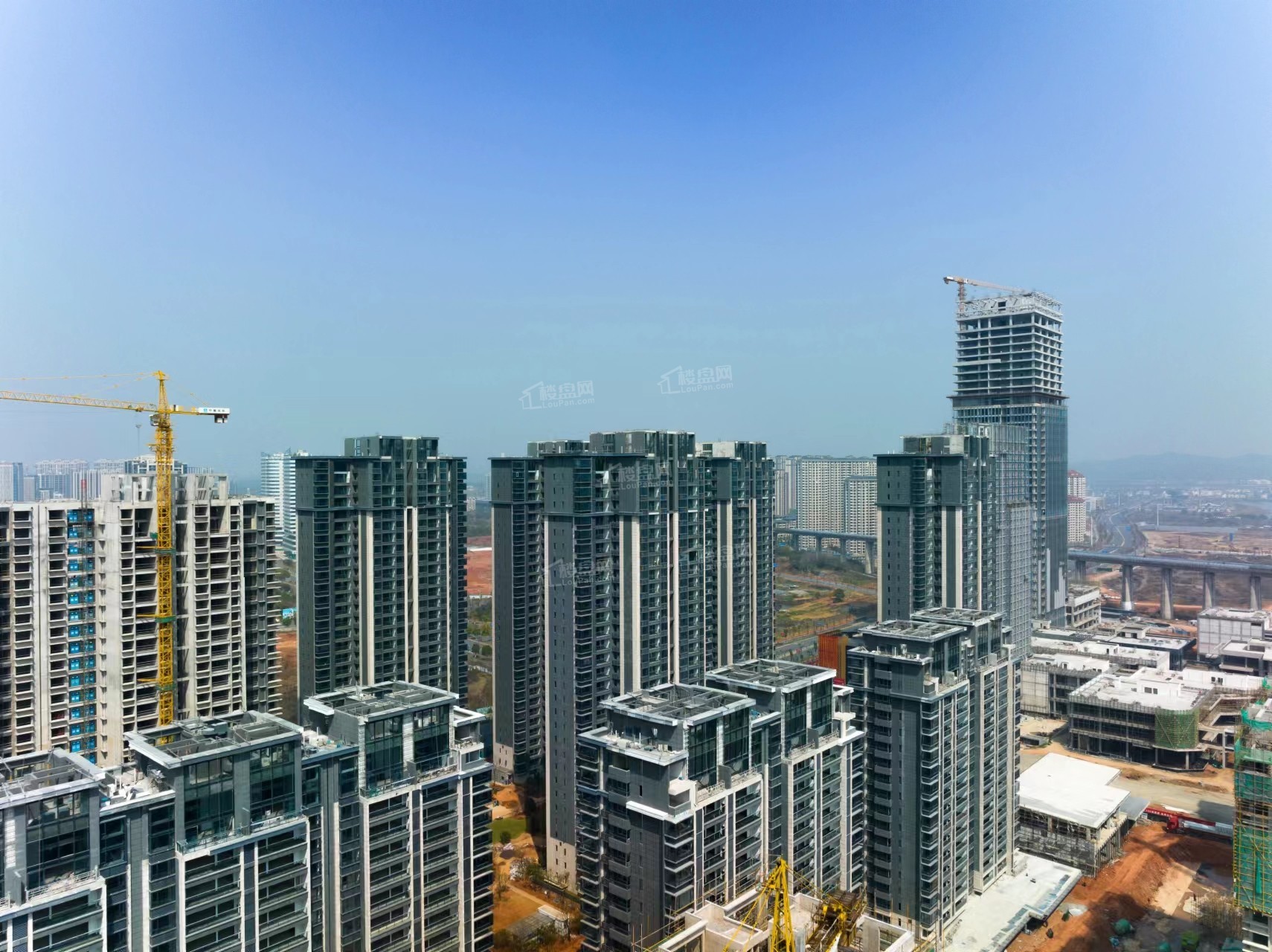 实景图