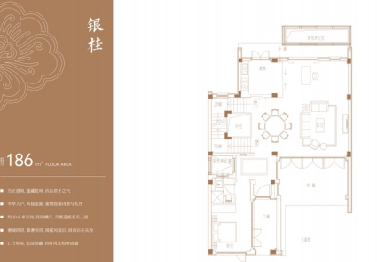 银桂户型