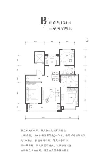 B户型134㎡