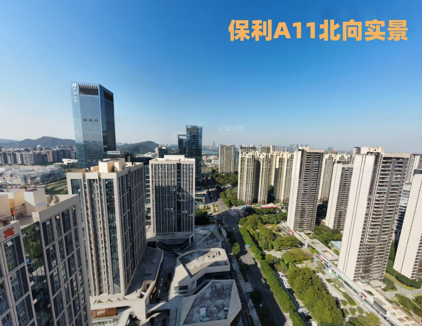 保利中悦广场a11公寓