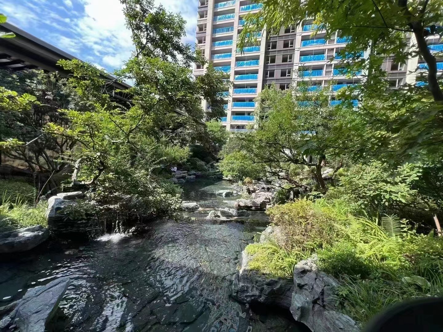实景图