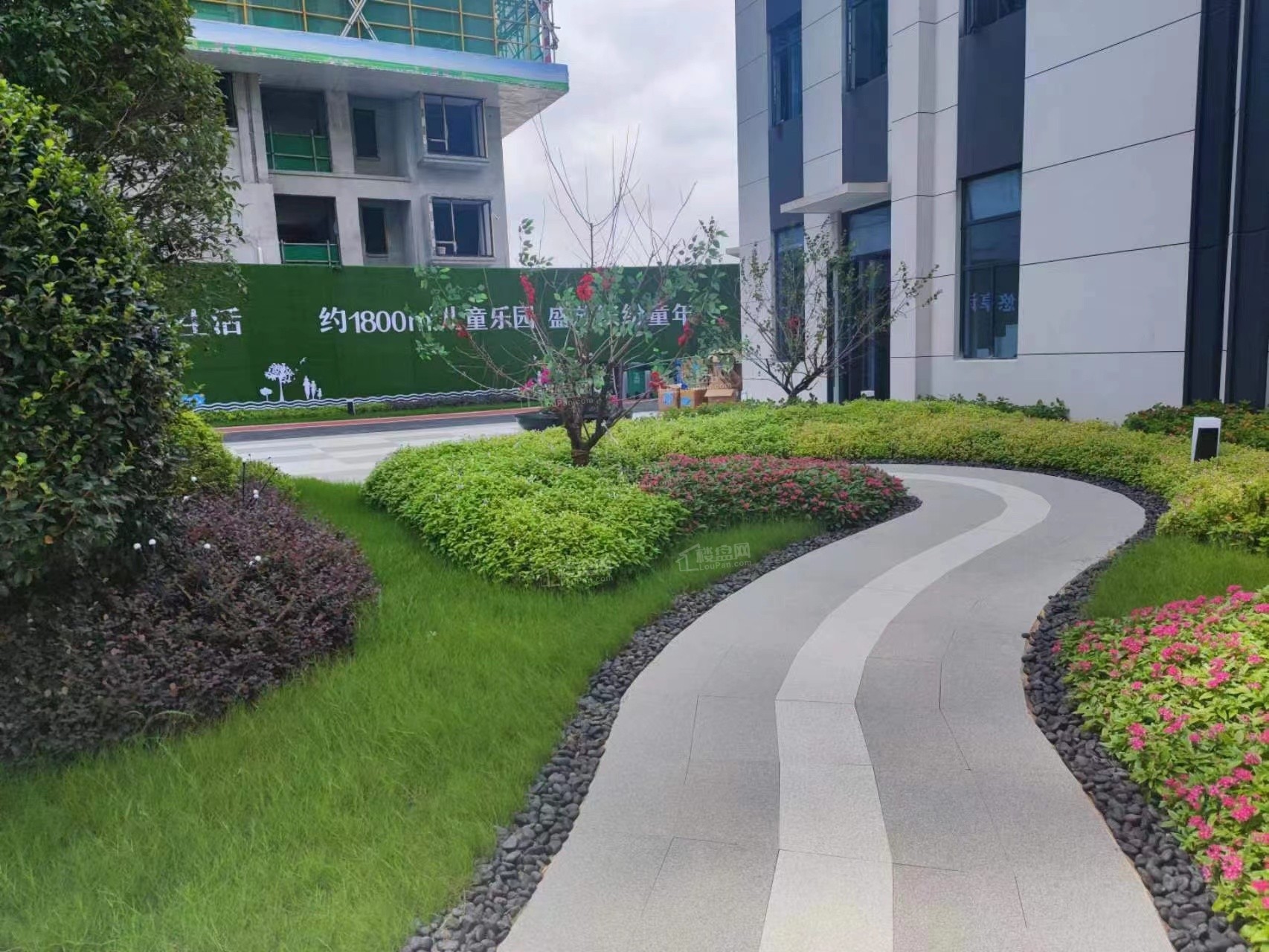 实景图