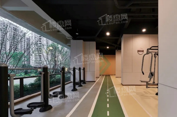 实景图