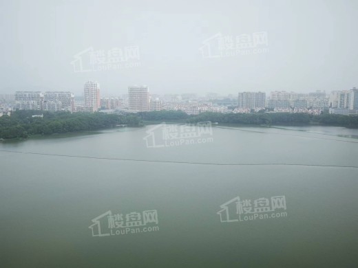汇峰·翡翠湖光实景图