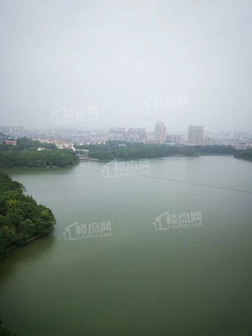 汇峰·翡翠湖光实景图