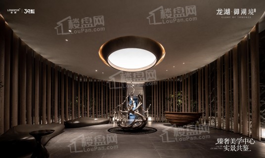 龙湖·御湖境_武汉龙湖·御湖境房价_楼盘怎么样-武汉楼盘网