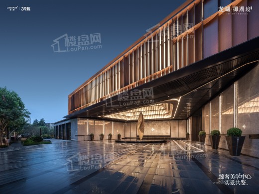 龙湖·御湖境_武汉龙湖·御湖境房价_楼盘怎么样-武汉楼盘网
