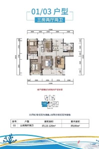 T5A 01、03户型 三房两厅两卫 123-125㎡