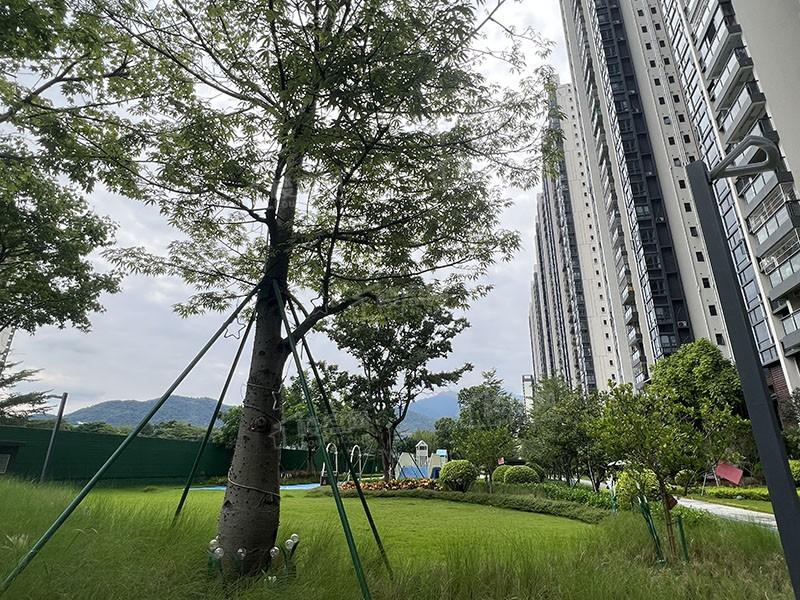 鼎湖山水名城实景园林