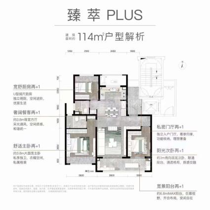 臻萃PLUS114㎡户型