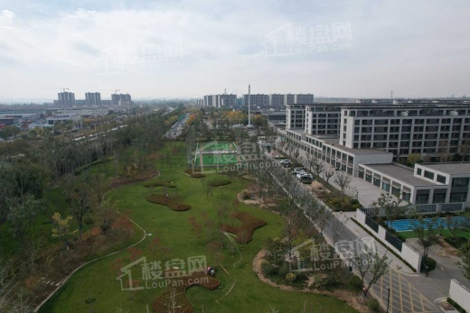 桃李春风南区工程进度（2023年10月19）