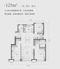 保利云上125㎡户型