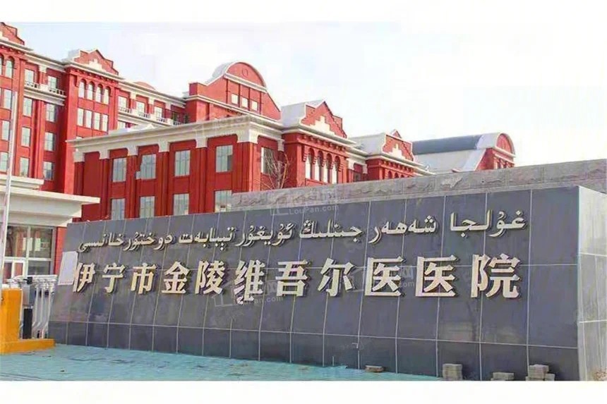 效果图