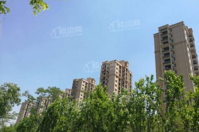 买房|眼下枣庄最新房价是多少？人气好房有哪些？