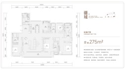 天一仁和·吾疆275㎡户型图