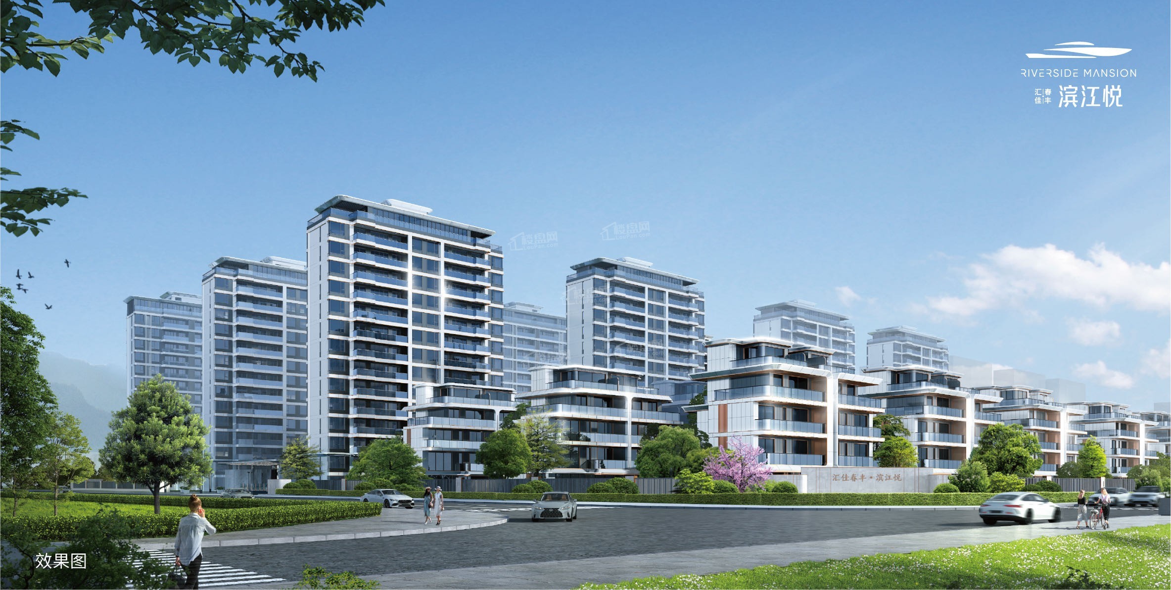 效果图