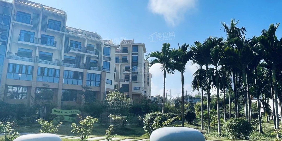 白沙茶乡里.博雅兴园实景图