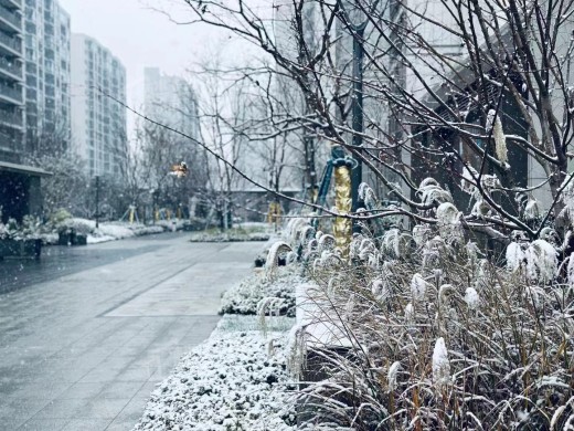 路劲美的竹林壹号实景图